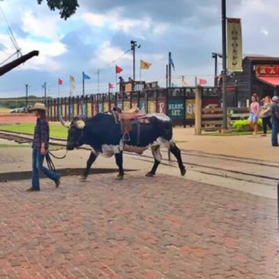 Stockyards Station un pueblo vaquero en Fort Worth