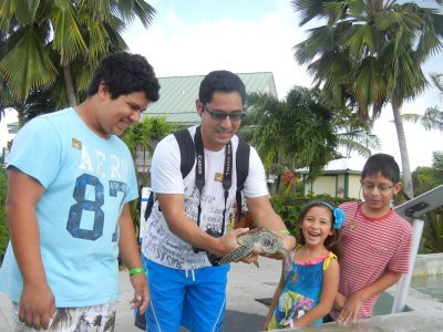 Tortugario en Islas Caimán, una parada de los Cruceros Disney