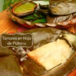 tamales veracruzanos