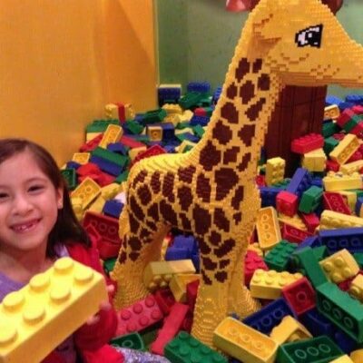 Visita a LEGOLAND Dallas