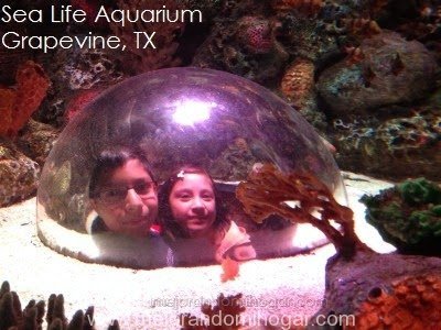 acuario sea life dallas