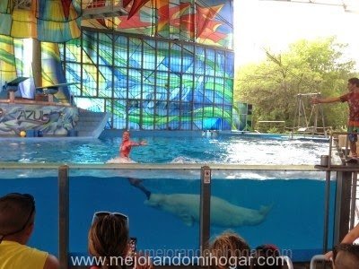 Tips For Buying Sea World Texas Passes