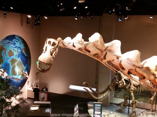 perot-museum-dinosaurs