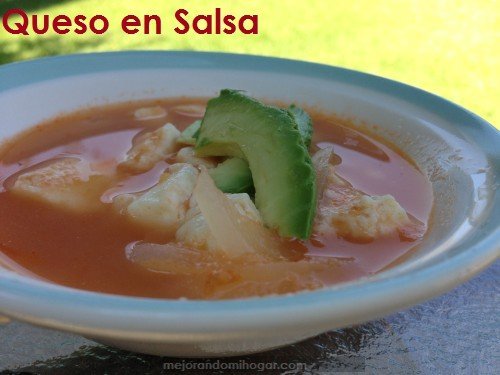 cheese recipe in sauce or cheese chili