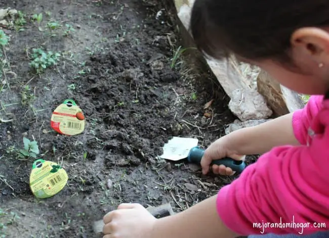 sembrar verduras vegetales miracle gro