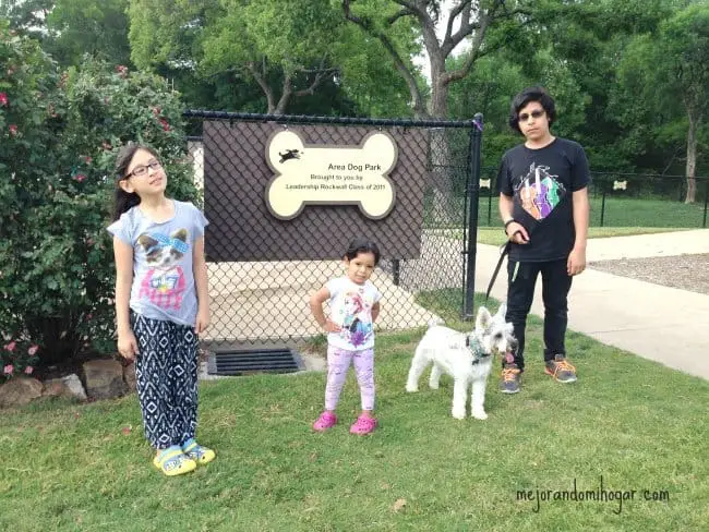 dog-park-rcokwall-texas