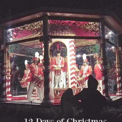 12 Days of Christmas en el Dallas Arboretum