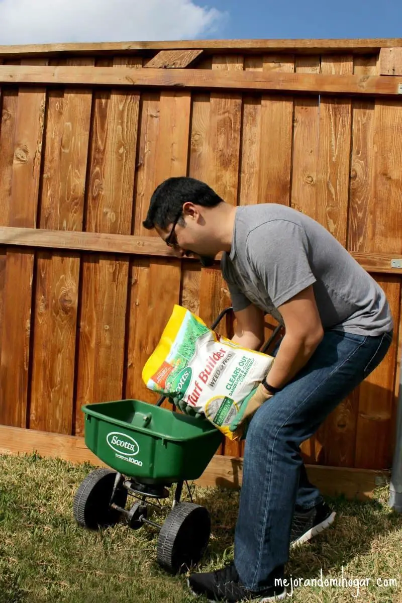 feed your lawn scotts turf builder