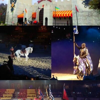 Medieval Times Dallas – Reseña