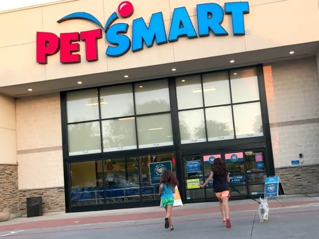 petsmart dog food