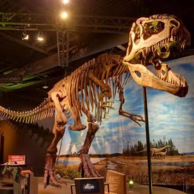 Perot Museum anuncia temporada de dinosaurios y viajes al espacio