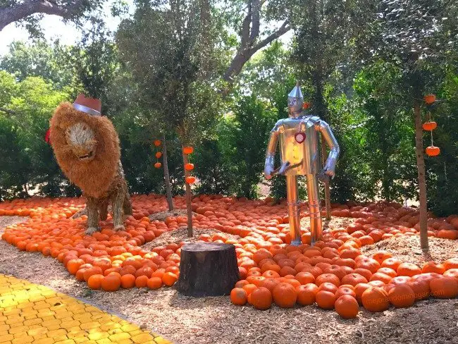 Wizard of Oz pumpkins