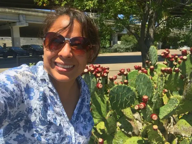 have a nopal on your forehead