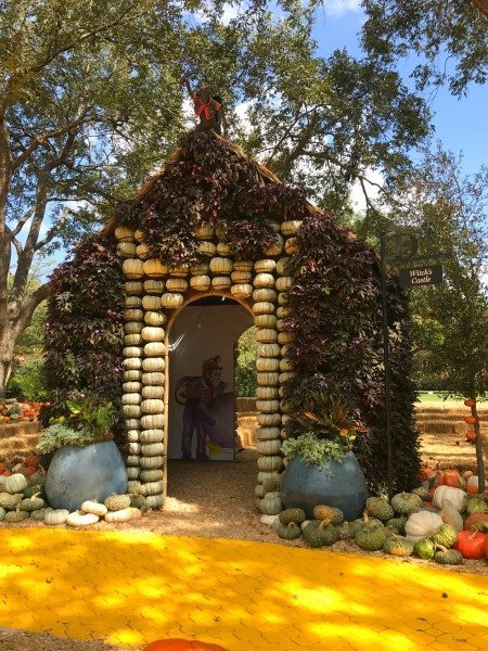 House made of pumpkins
