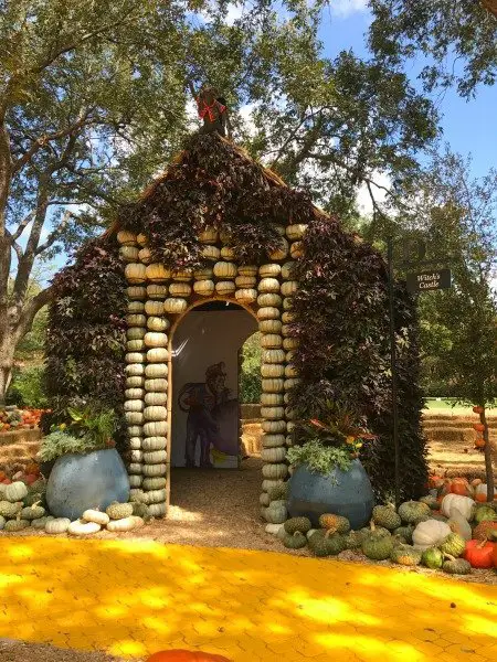 House made of pumpkins