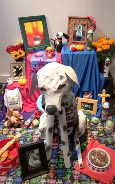 Altares de día de muertos para perros