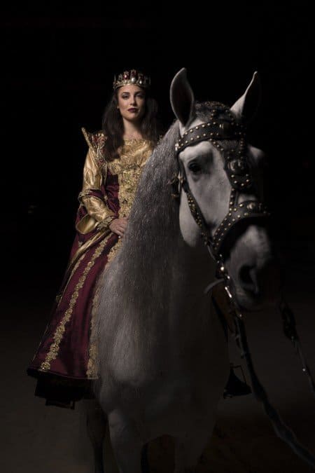 Medieval Times Dallas