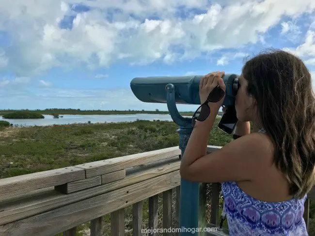 castaway cay bahamas