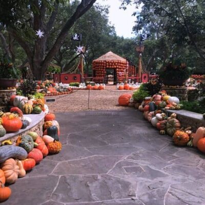 Pumpkin Patch de Dallas Arboretum