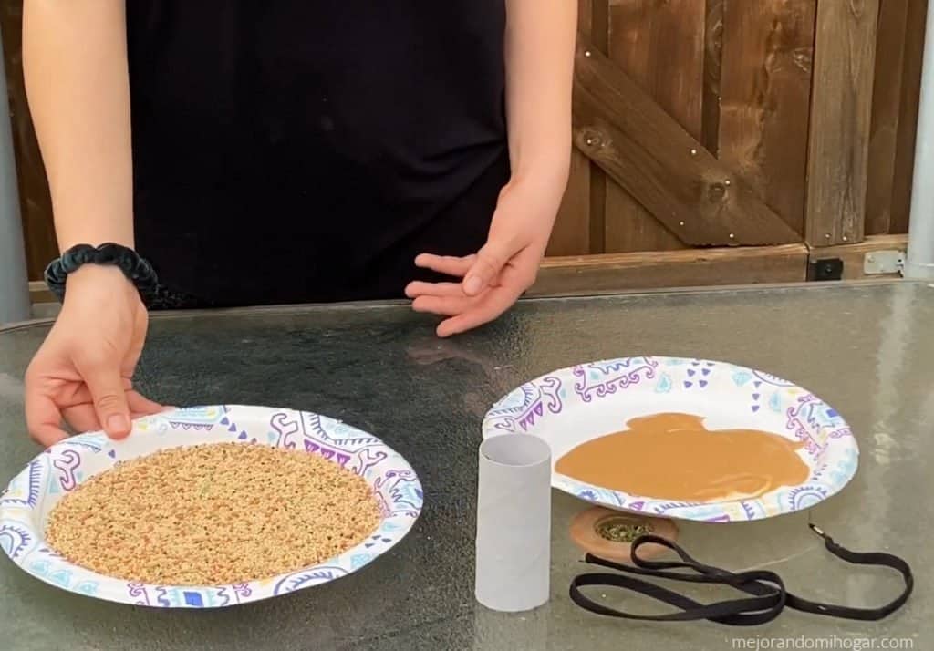 how to make a birdfeeder with kids perot museum