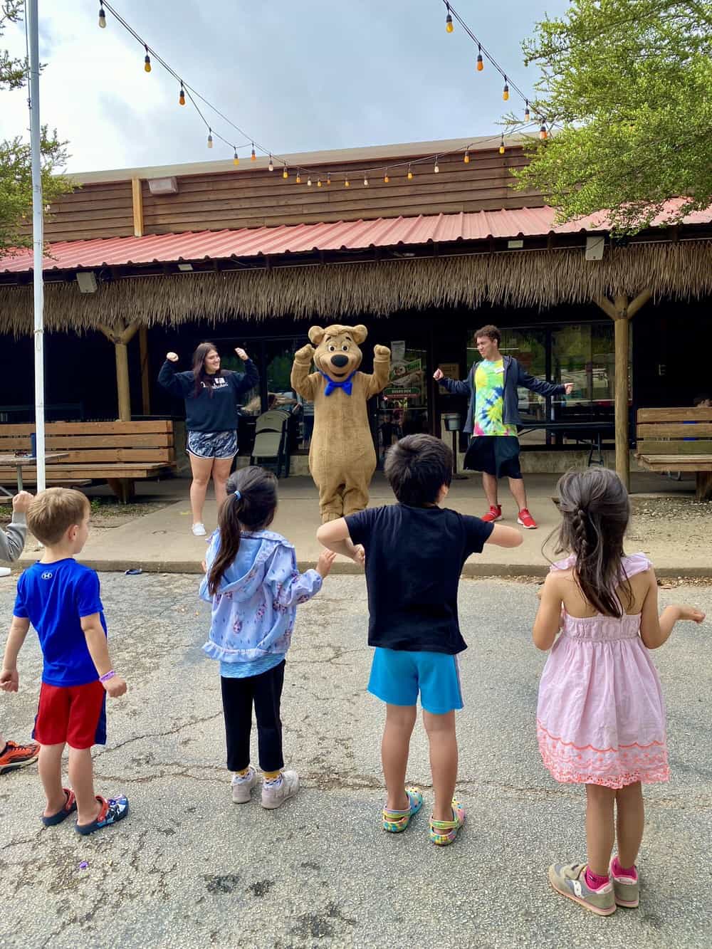 yogi bear camping